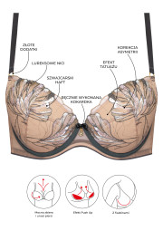 Biustonosz usztywniany A332 push-up Eteri antracytowy Biustonosz usztywniany A332 push-up Eteri antracytowy